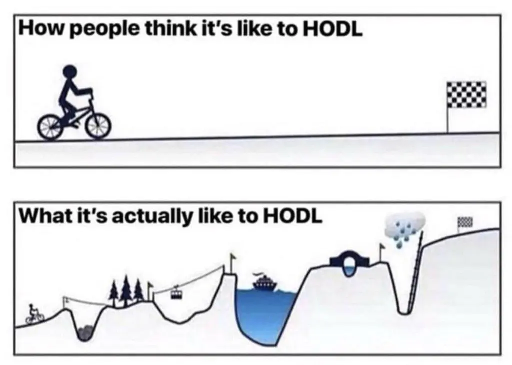 bitcoin meme how people think its like to hodl versus what its really like