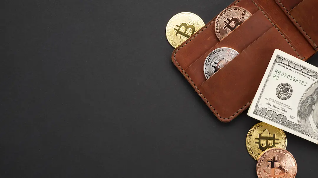 Wallets with Bitcoin and USD